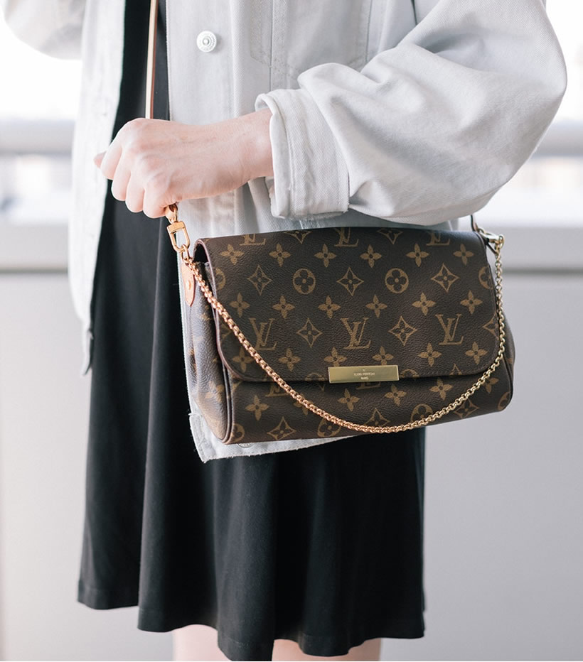 Louis-Vuitton-Favorite-Monogram-MM-Brown-Model--2.jpg